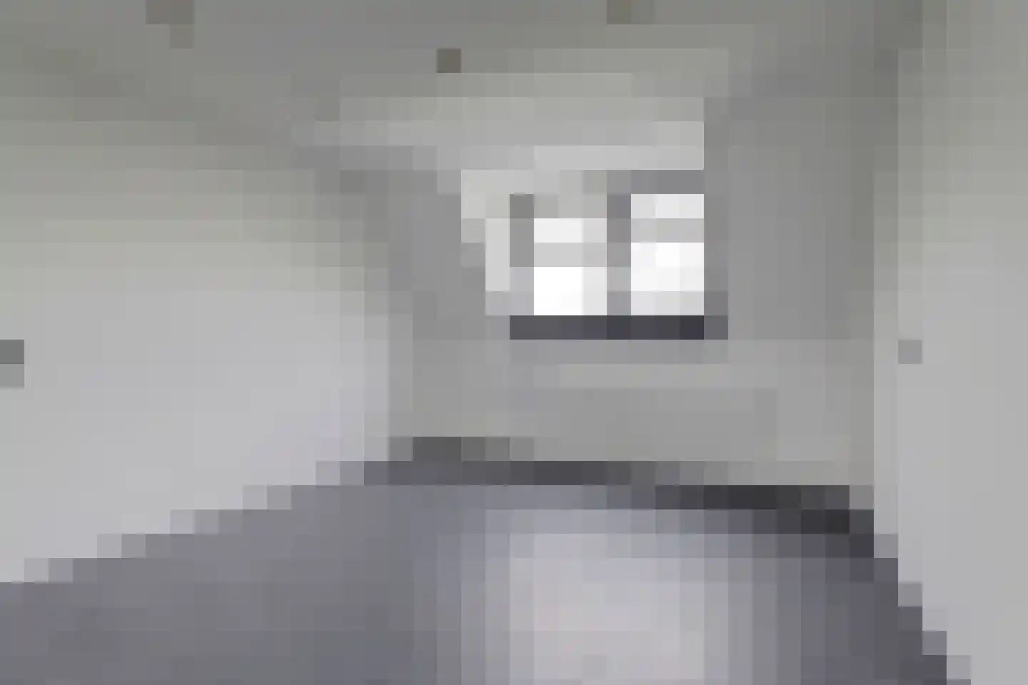Fellingen 14 Holwert thumbnail 25