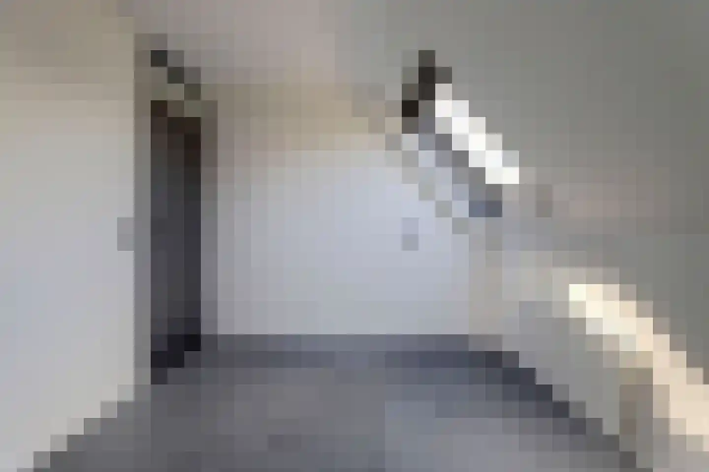 Fellingen 14 Holwert thumbnail 30