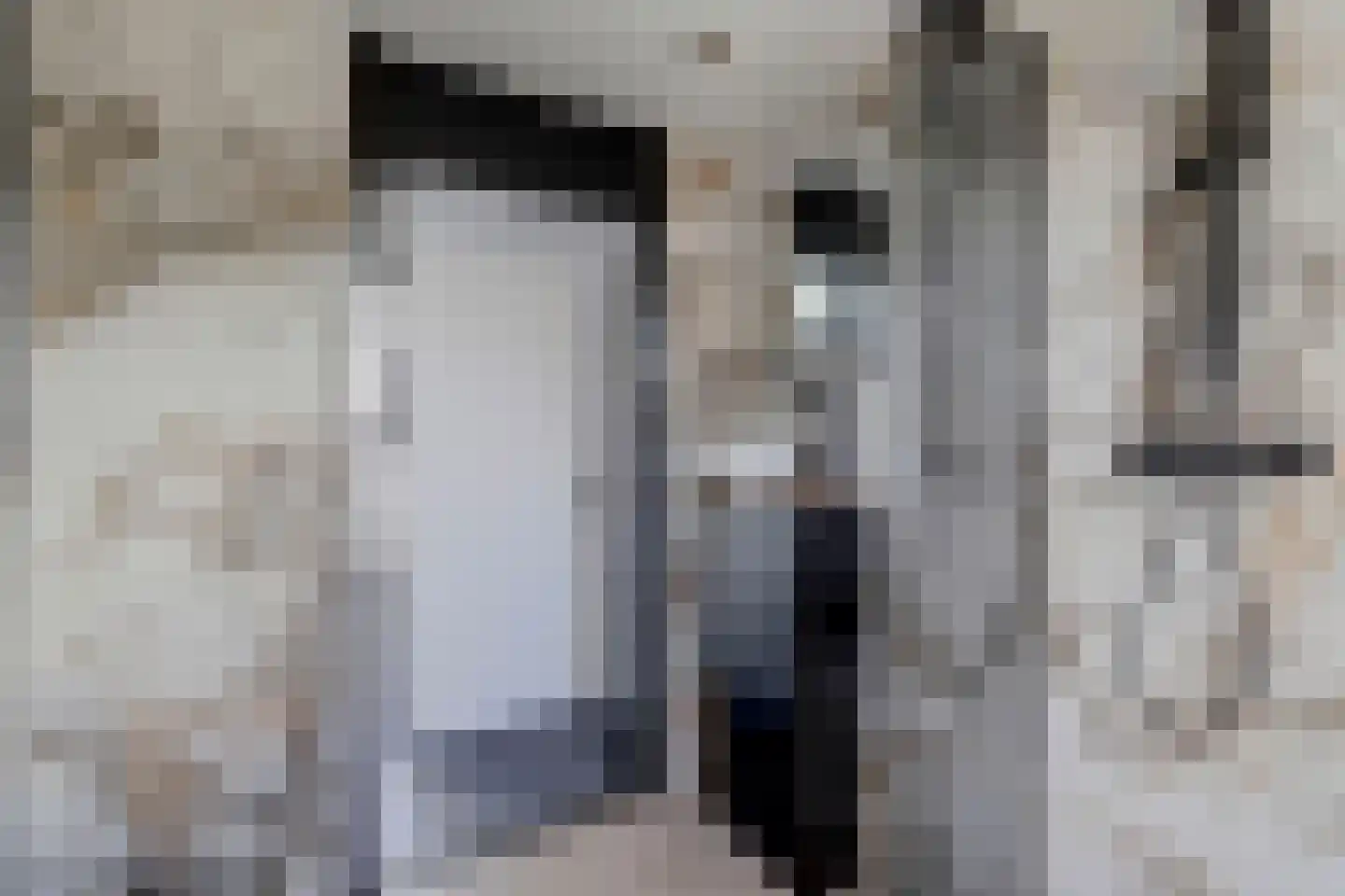 Fellingen 14 Holwert thumbnail 32