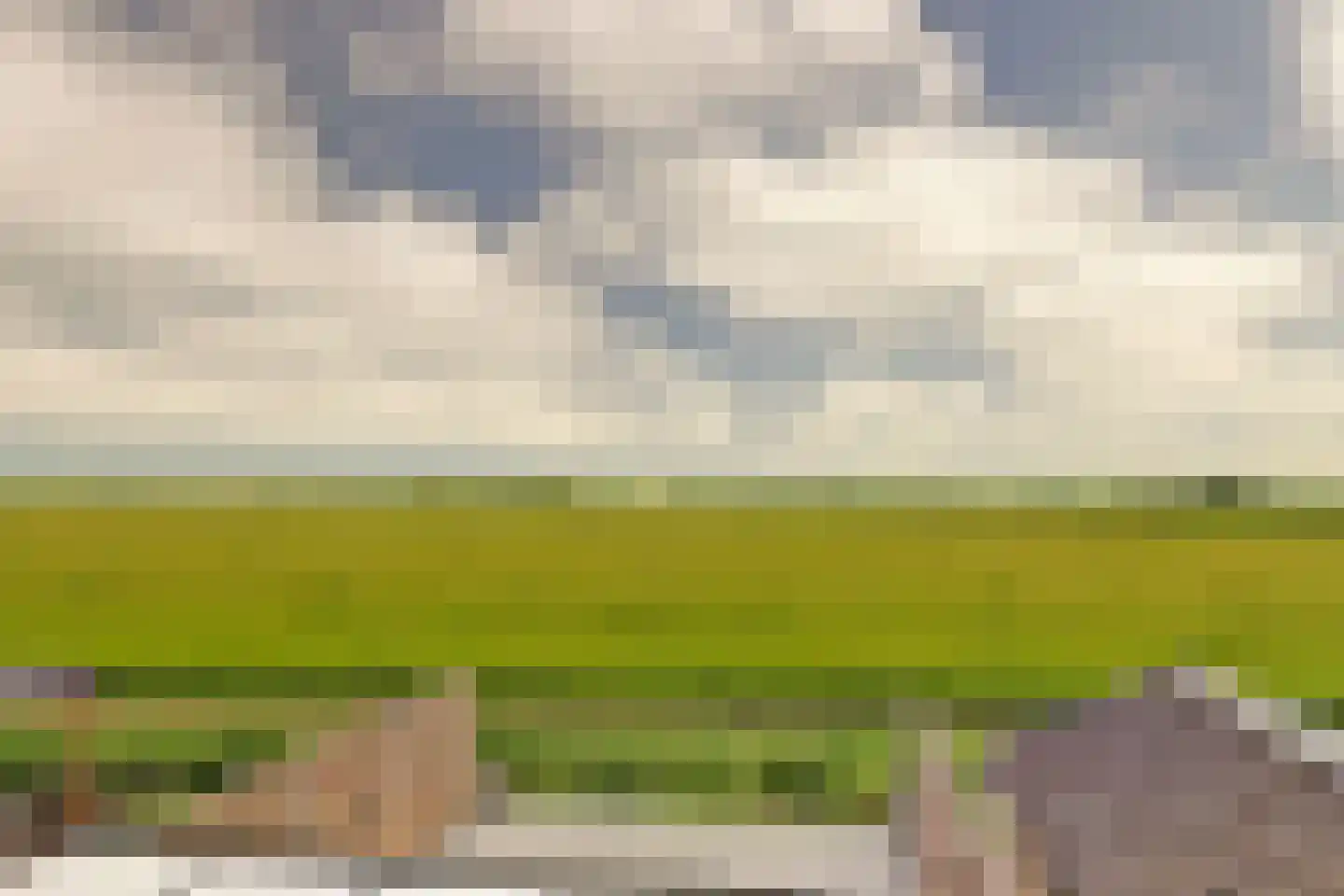 Fellingen 14 Holwert thumbnail 36