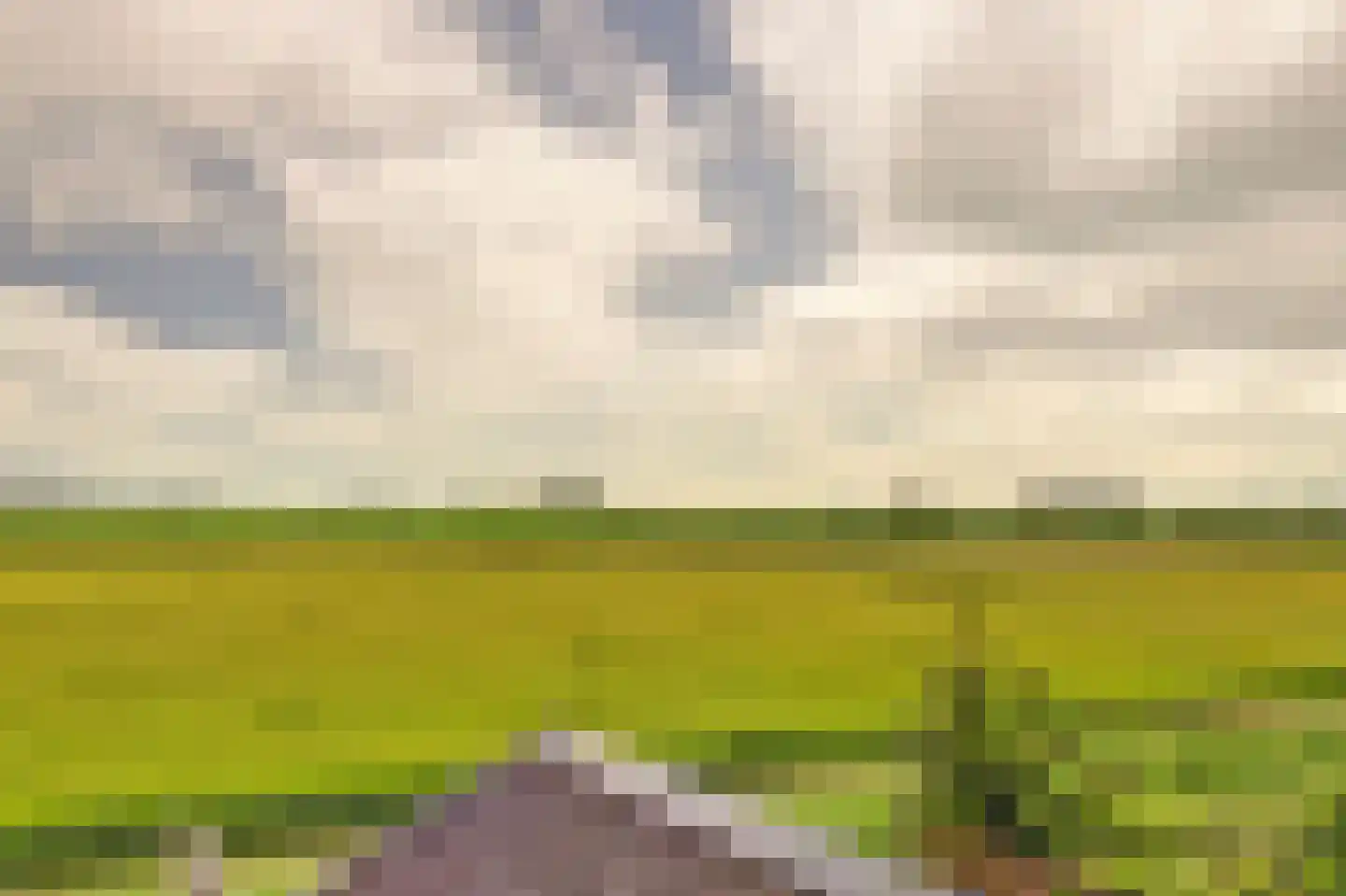 Fellingen 14 Holwert thumbnail 37