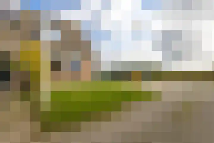 Fellingen 2 Holwert thumbnail 13