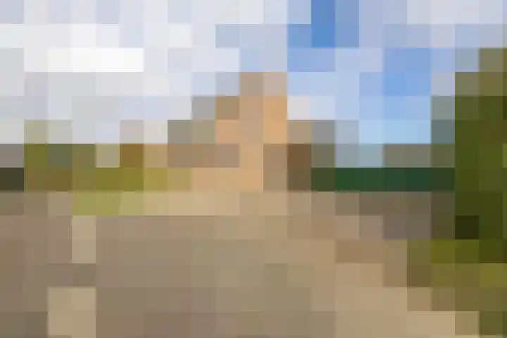 Fellingen 2 Holwert thumbnail 14