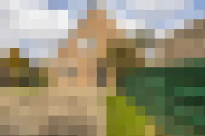 Fellingen 2 Holwert thumbnail 15