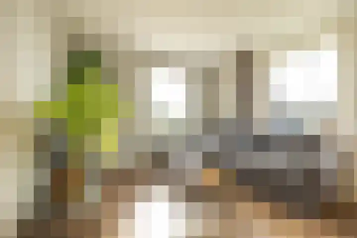 Fellingen 2 Holwert thumbnail 19