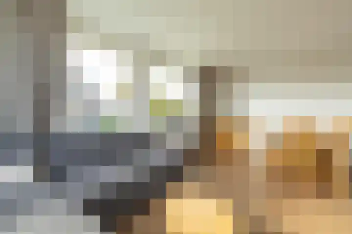 Fellingen 2 Holwert thumbnail 21