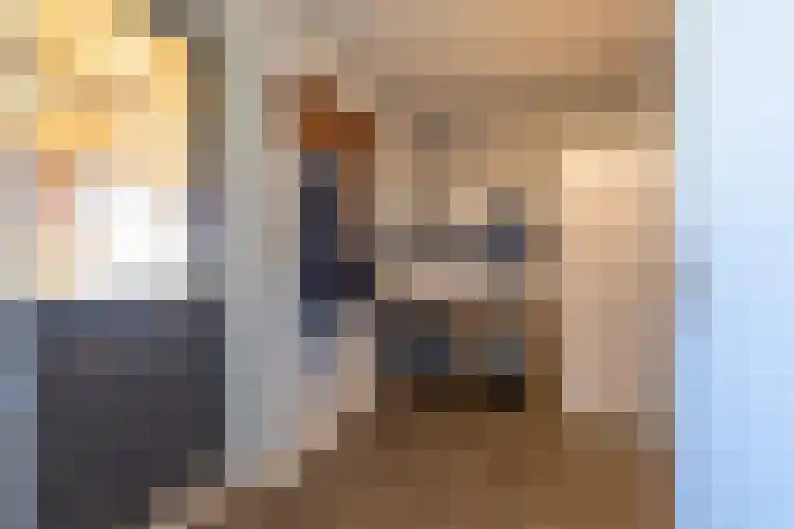 Fellingen 2 Holwert thumbnail 31