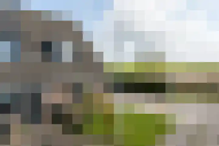 Fellingen 2 Holwert thumbnail 4