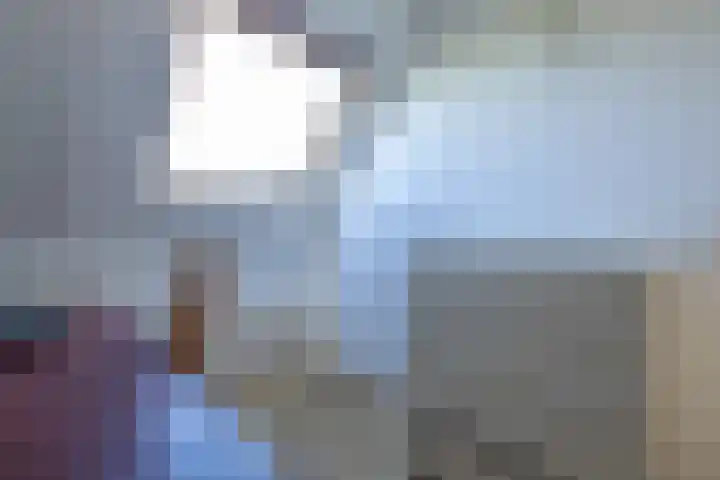 Fellingen 2 Holwert thumbnail 41