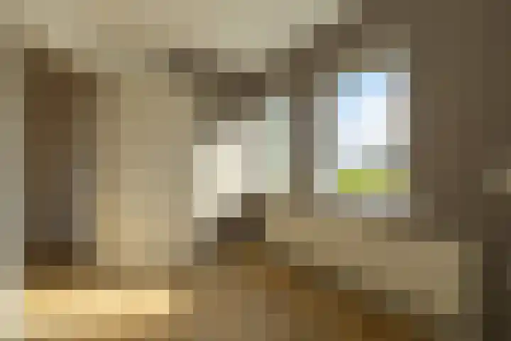 Fellingen 2 Holwert thumbnail 43