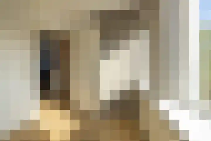 Fellingen 2 Holwert thumbnail 44