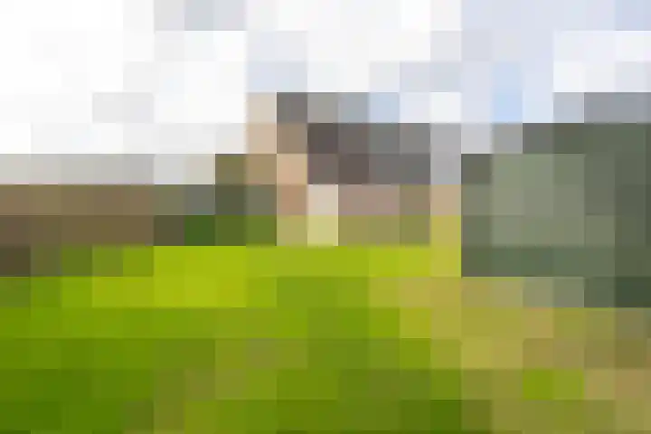 Fellingen 2 Holwert thumbnail 45