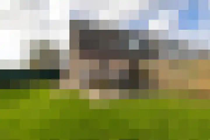 Fellingen 2 Holwert thumbnail 46
