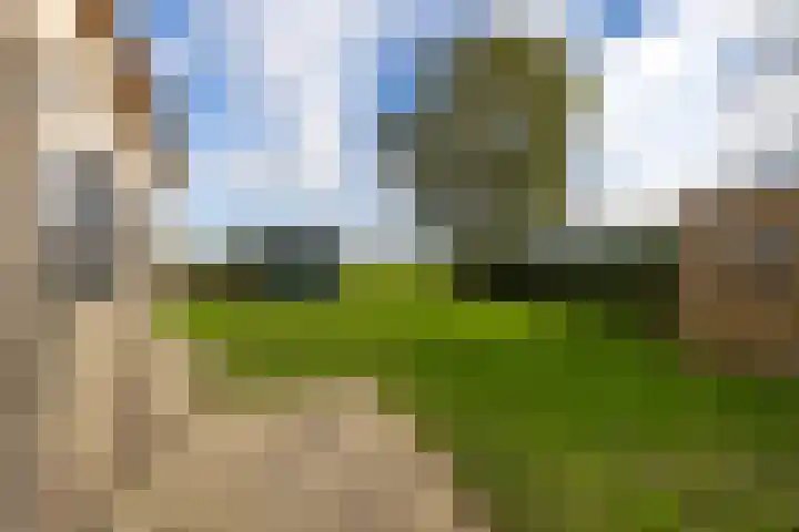 Fellingen 2 Holwert thumbnail 48