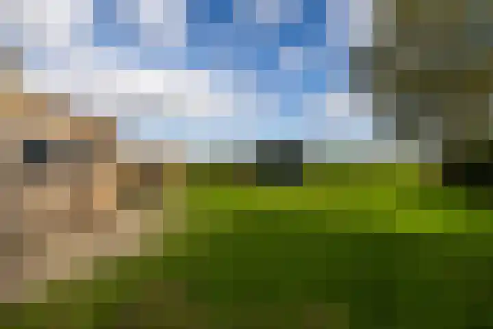 Fellingen 2 Holwert thumbnail 49