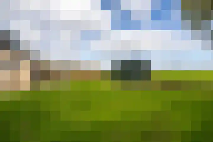 Fellingen 2 Holwert thumbnail 50