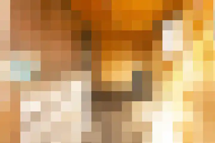 Fellingen 2 Holwert thumbnail 51