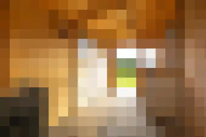 Fellingen 2 Holwert thumbnail 52
