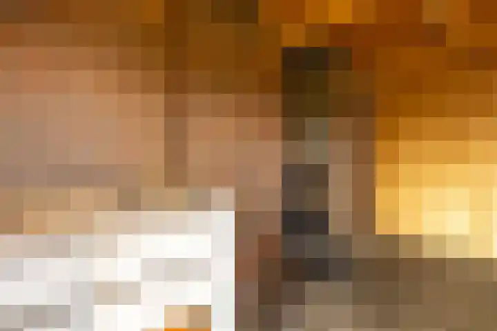 Fellingen 2 Holwert thumbnail 53