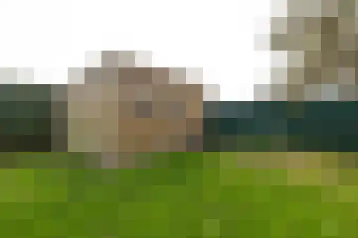 Fellingen 2 Holwert thumbnail 55