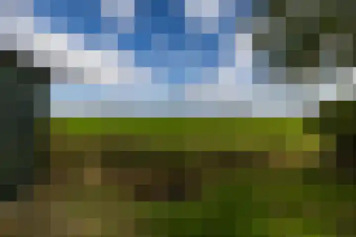 Fellingen 2 Holwert thumbnail 56