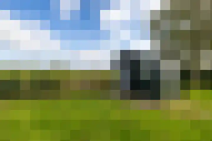 Fellingen 2 Holwert thumbnail 57