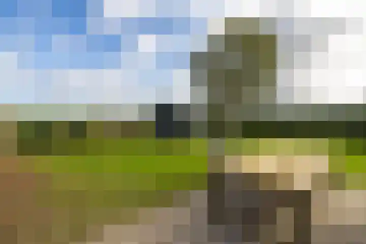 Fellingen 2 Holwert thumbnail 58