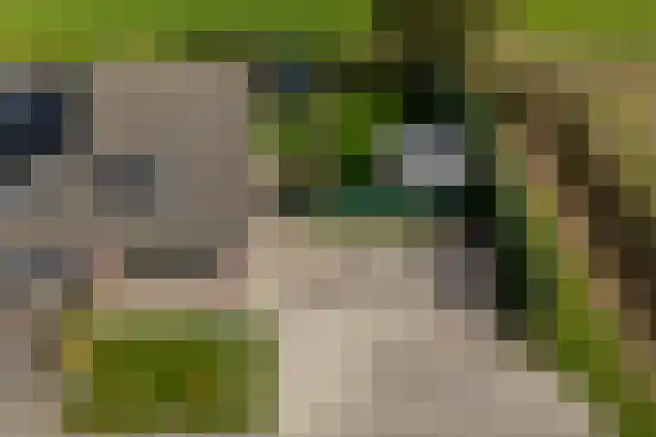 Fellingen 2 Holwert thumbnail 6