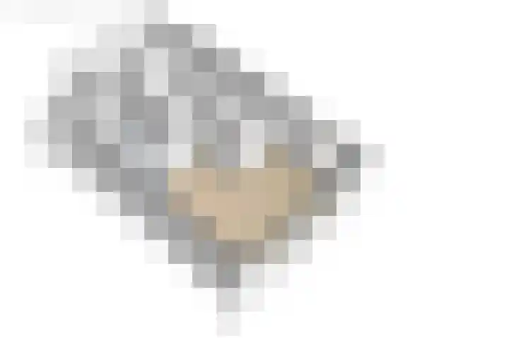Fellingen 2 Holwert thumbnail 65