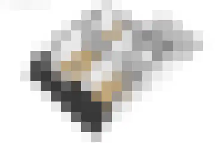 Fellingen 2 Holwert thumbnail 69