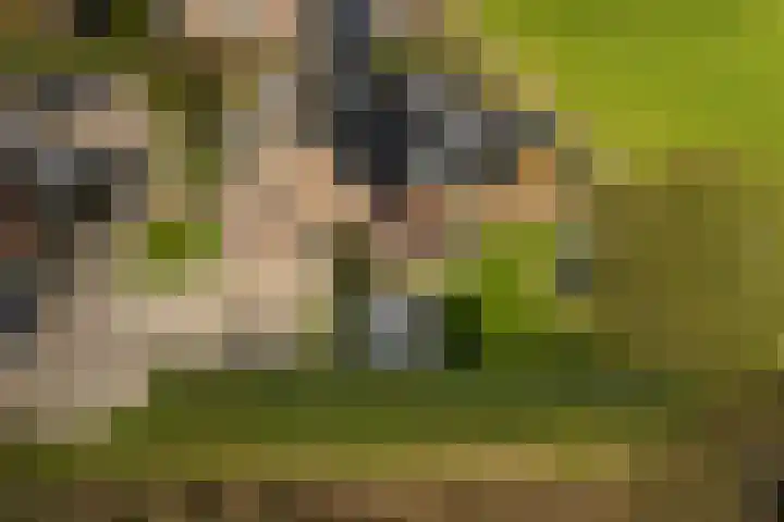 Fellingen 2 Holwert thumbnail 7
