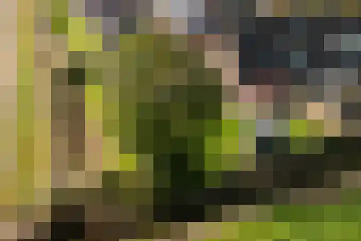 Fellingen 2 Holwert thumbnail 8