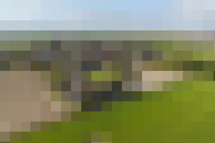 Fellingen 2 Holwert thumbnail 9