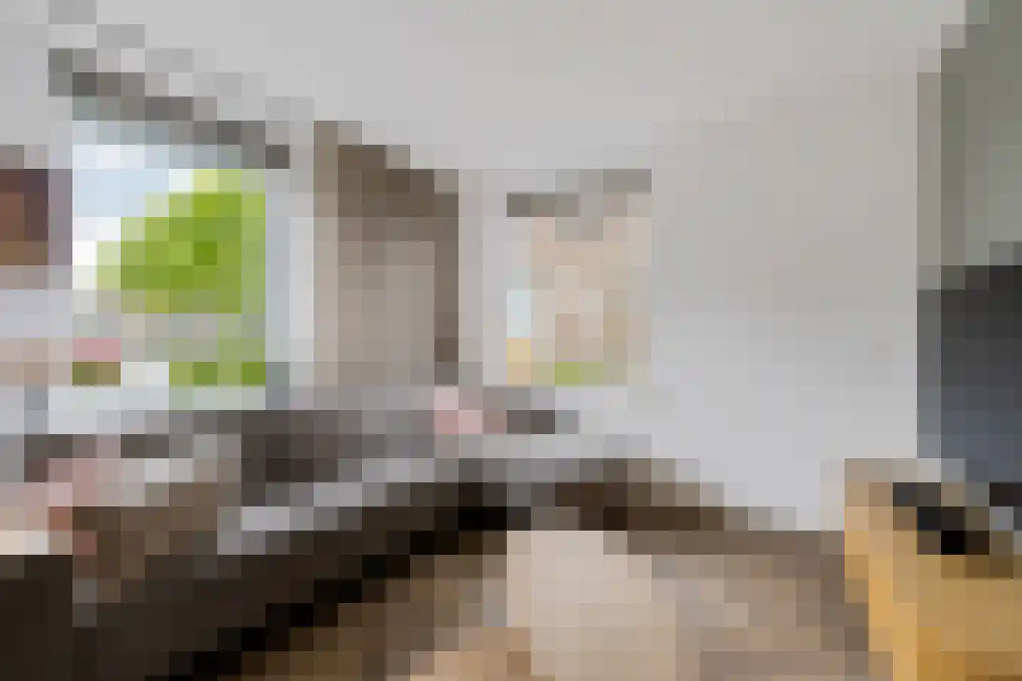 Fellingen 8 Holwert thumbnail 11