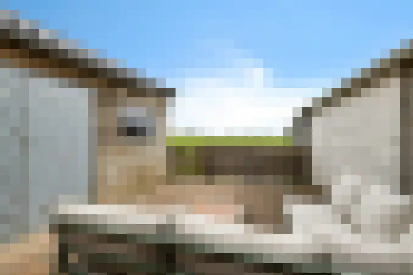 Fellingen 8 Holwert thumbnail 30