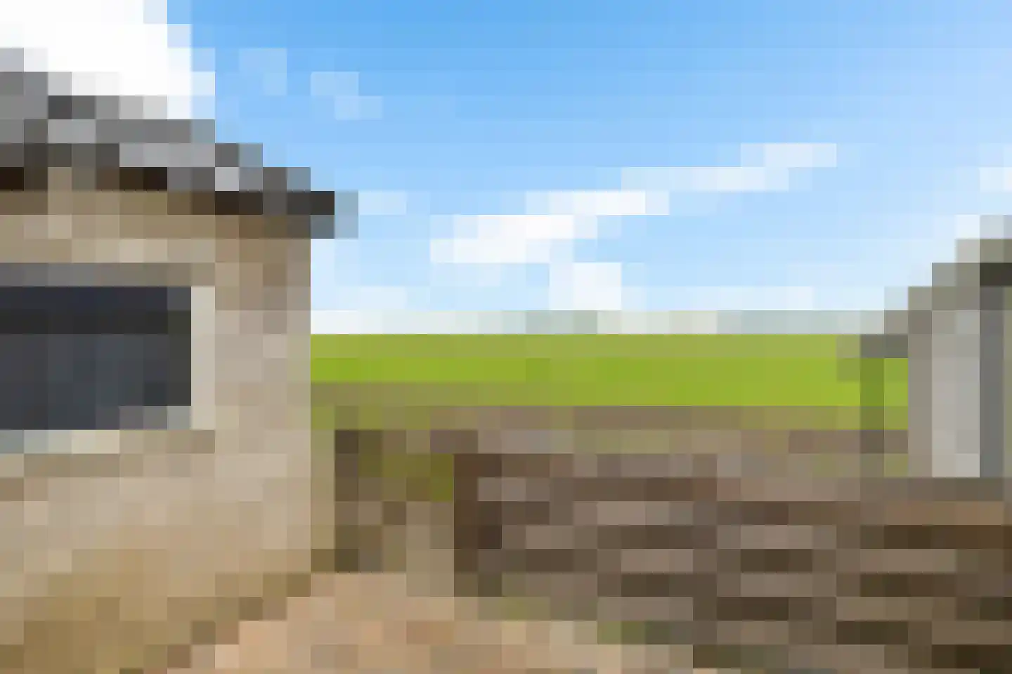 Fellingen 8 Holwert thumbnail 31