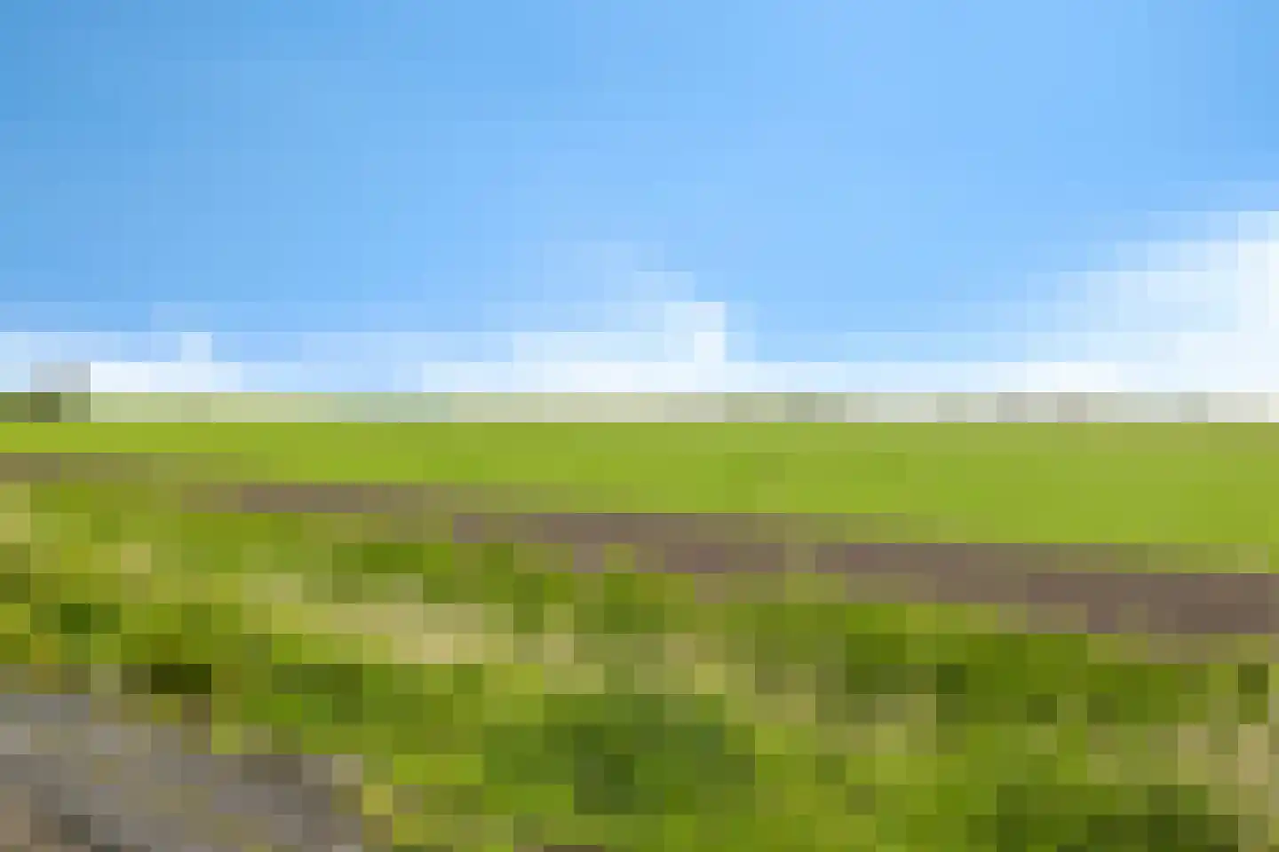 Fellingen 8 Holwert thumbnail 32