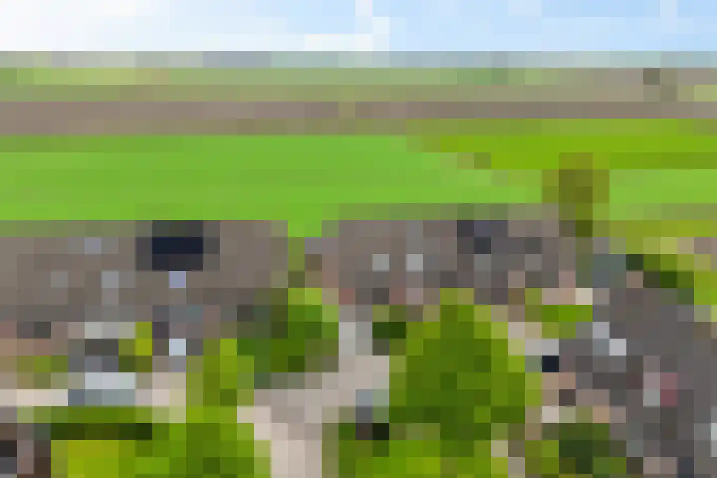 Fellingen 8 Holwert thumbnail 36