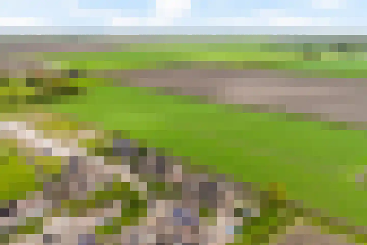Fellingen 8 Holwert thumbnail 4