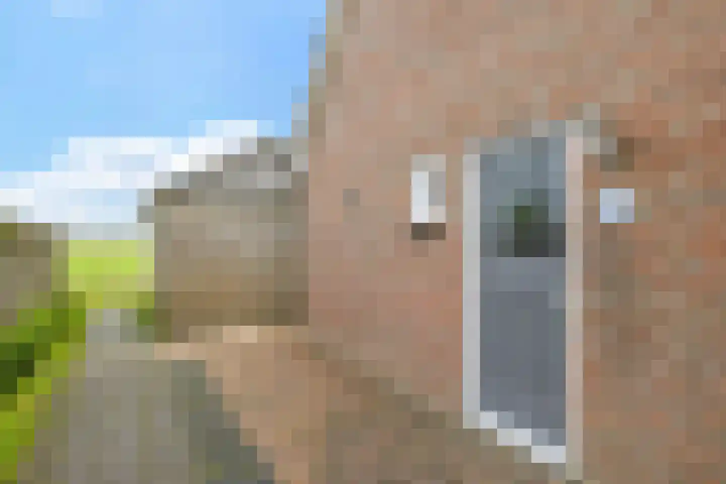 Fellingen 8 Holwert thumbnail 7