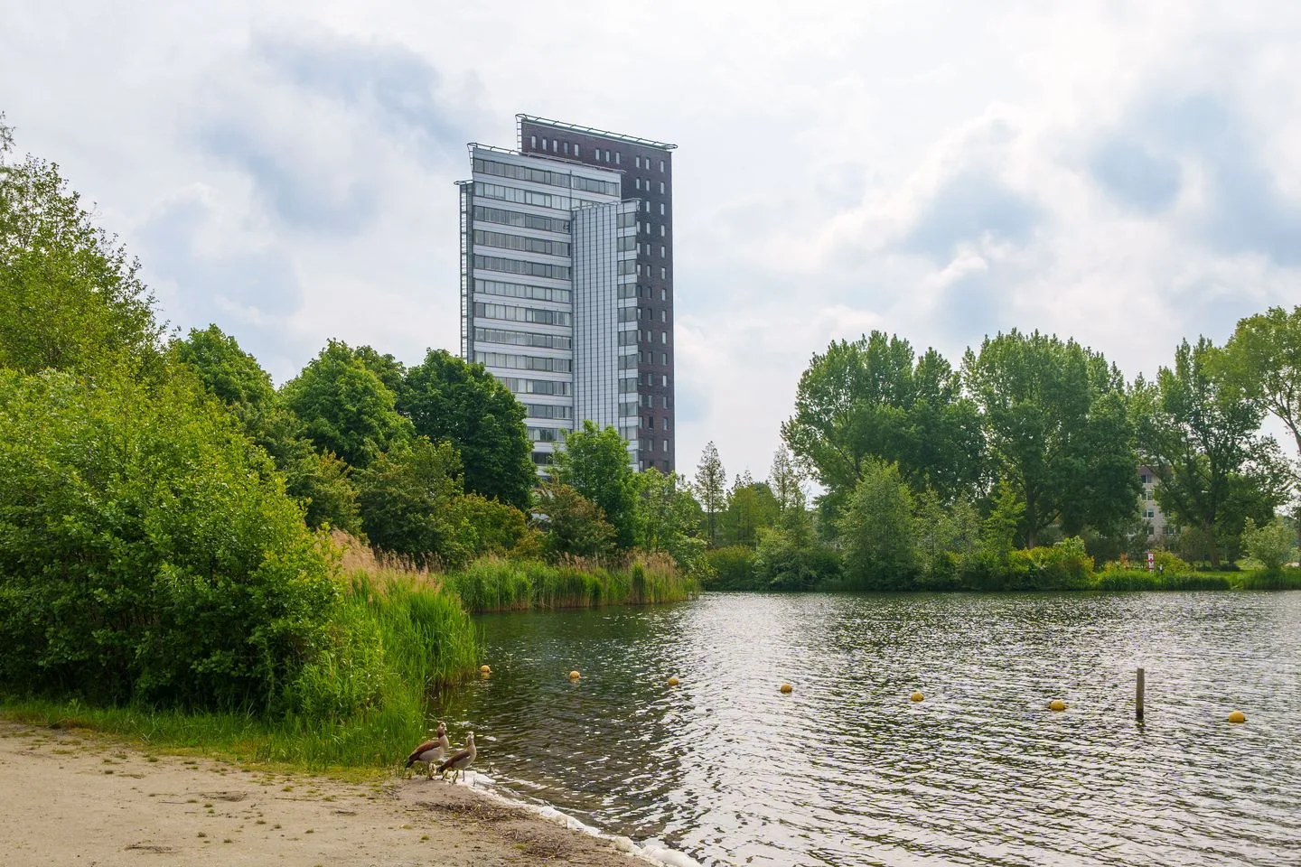Fellinilaan 118 Almere thumbnail 5