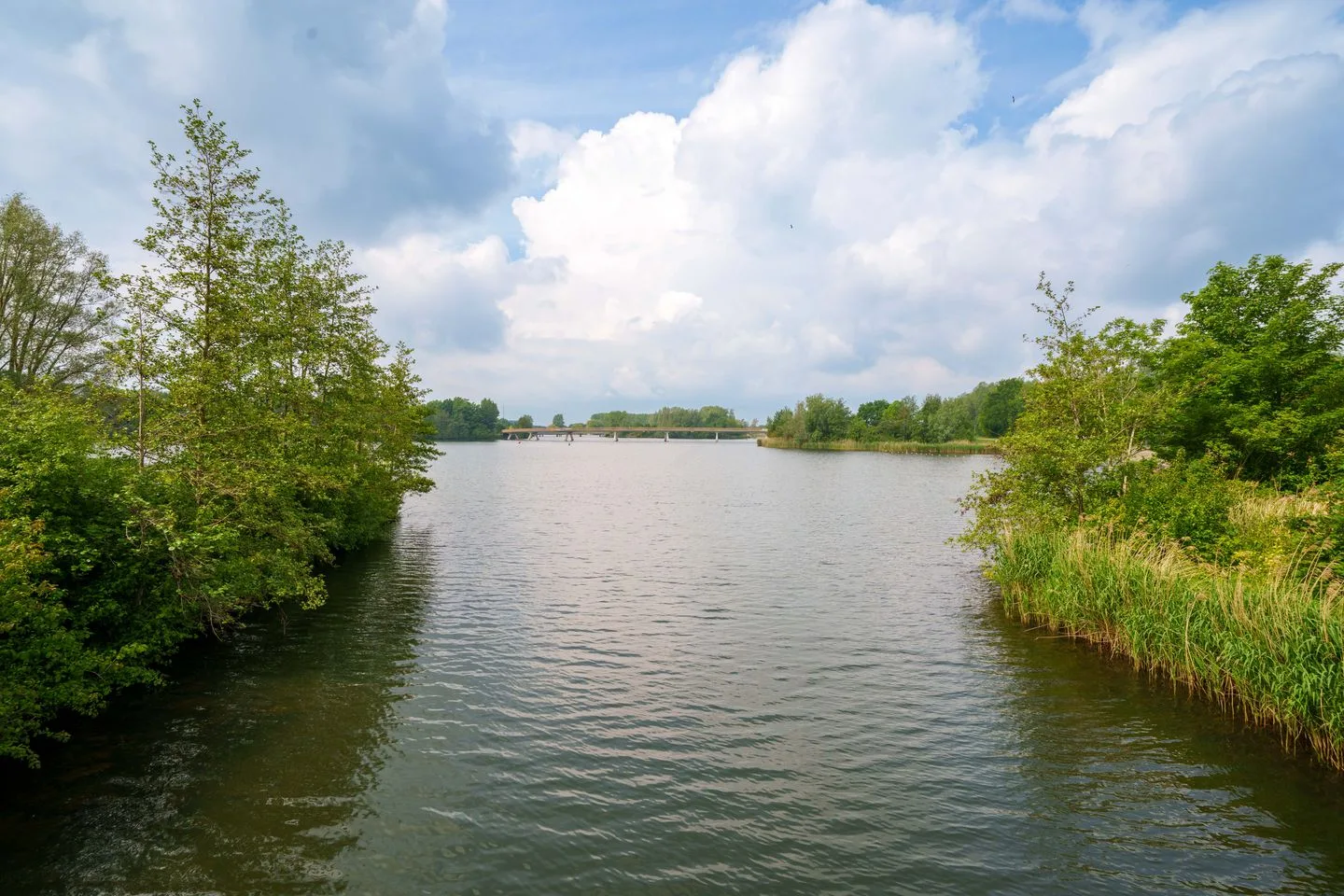 Fellinilaan 118 Almere thumbnail 51
