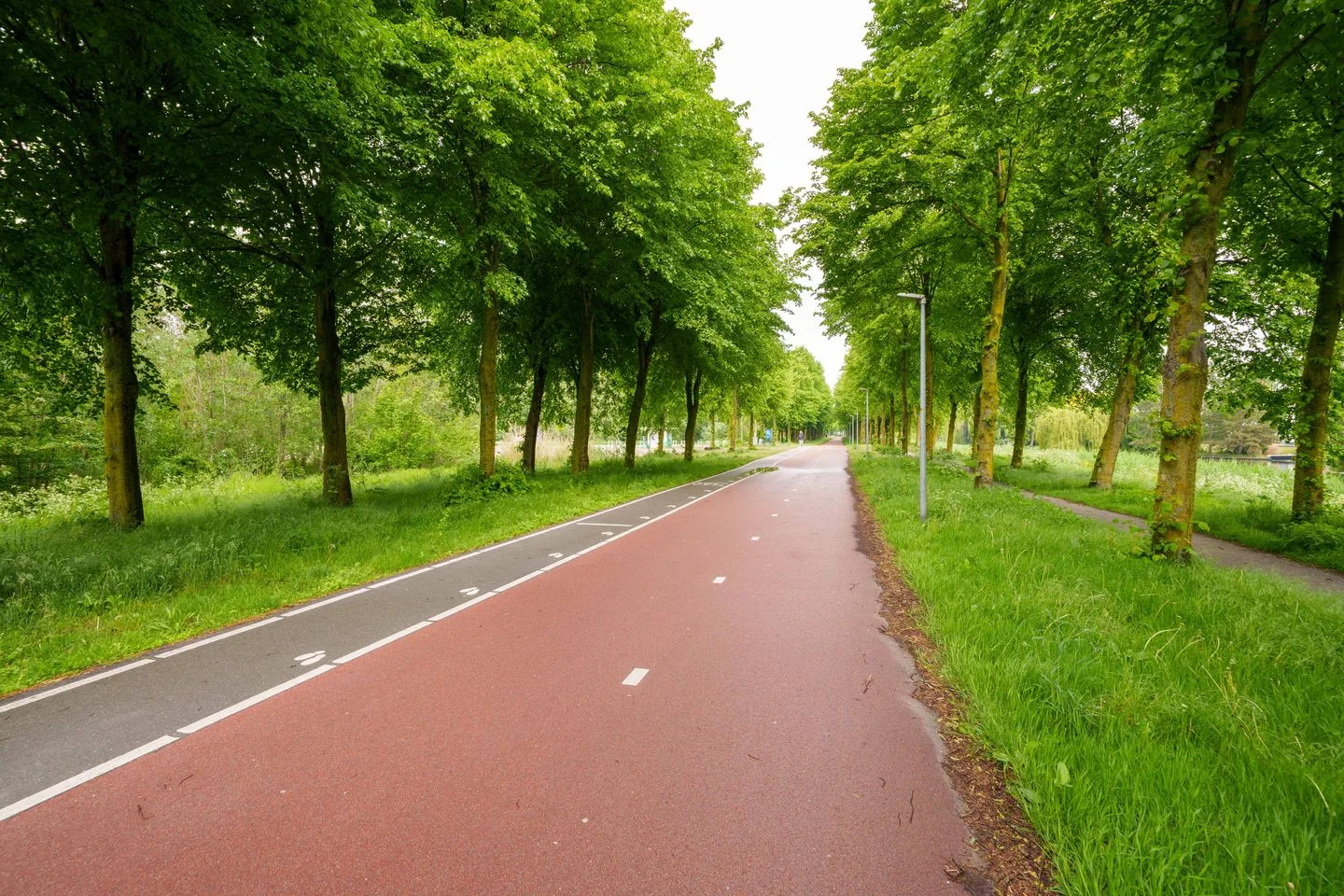 Fellinilaan 118 Almere thumbnail 53