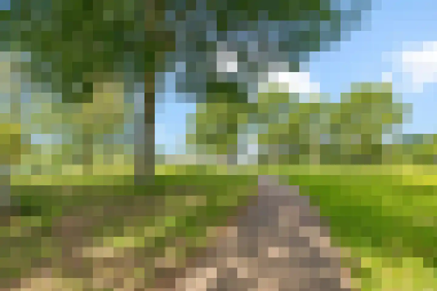 Fellinilaan 128 Almere thumbnail 47