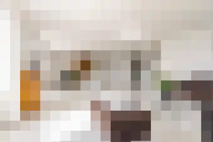 Fellinilaan 144 Almere thumbnail 18
