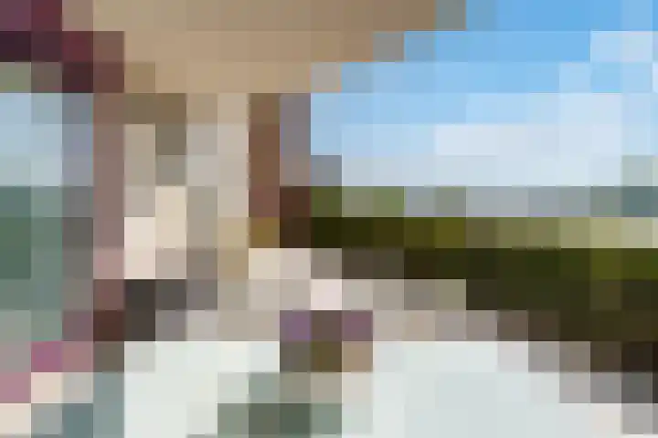 Fellinilaan 144 Almere thumbnail 34