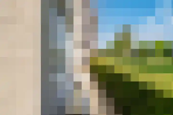 Fellinilaan 144 Almere thumbnail 36