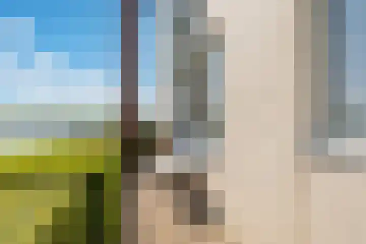 Fellinilaan 144 Almere thumbnail 37
