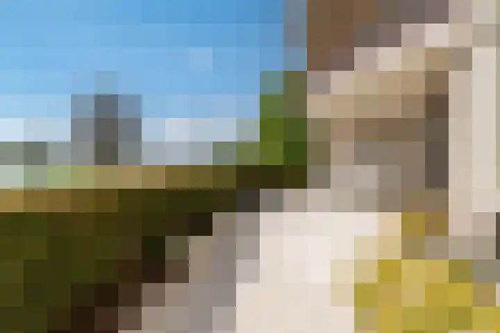 Fellinilaan 144 Almere thumbnail 38