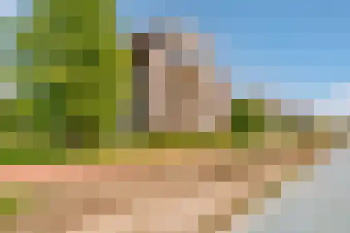 Fellinilaan 144 Almere thumbnail 45